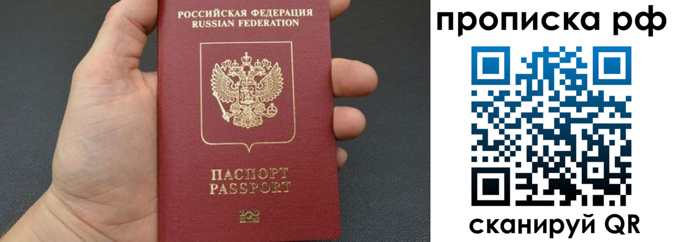 прописка штамп в Судогде