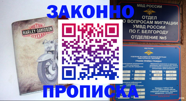 прописка для школы в Судогде